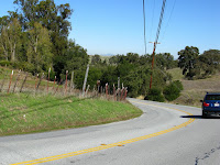 Foothill Short Logged 015.JPG Photo