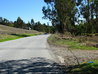 Foothill Short Logged 016.JPG Photo