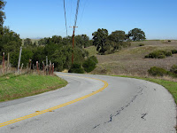 Foothill Short Logged 014.JPG Photo
