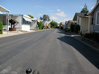 Around the house 024.JPG Photo