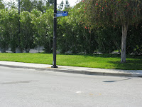 Shoreline and Palo Alto Bike Ride 005.JPG Photo