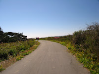 Half Moon Bay Coastal Trail 285.JPG