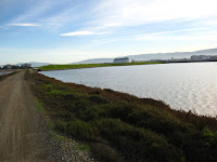 BayLands to BayFront 35M Bike Ride 075.JPG Photo