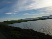 BayLands to BayFront 35M Bike Ride 079.JPG Photo