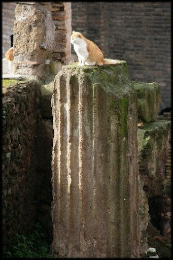 Sobre una columna. Torre Argentina