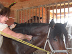Clinic Jan 09 inv oahf and anc 267.JPG