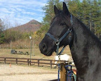 Shay Sharptop Mtn - Copy.JPG