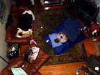 Looking down on Zach, Emily Bower & Indy