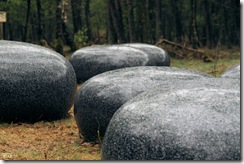 stenen langs beeldende kunst fietsroute Veluwe
