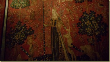 DSC03800 DSC03800