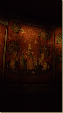 DSC03799 DSC03799