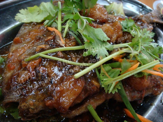 [DSC04344 640 x 640[3].jpg]