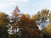 Jida south lake campus in autumn