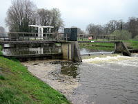 IMG_0772.JPG Photo