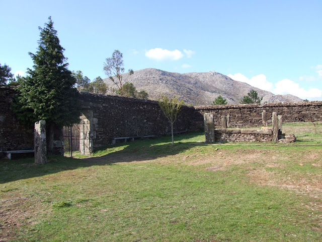 DSCF8879.JPG