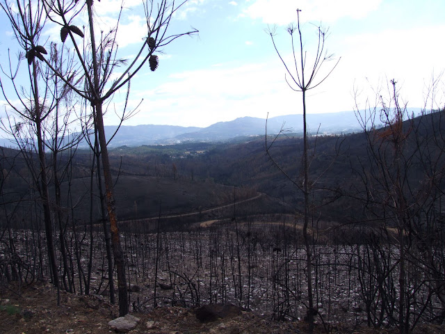 DSCF8864.JPG