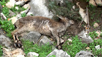 trip01.jpg Photo