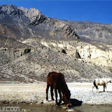 Nepal 2004