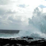 La Réunion - Les gerbes de la Pointe au Sel