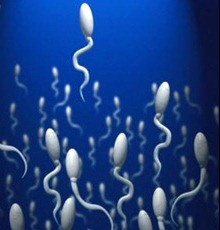 [como-e-feito-a-vasectomia[3].jpg]