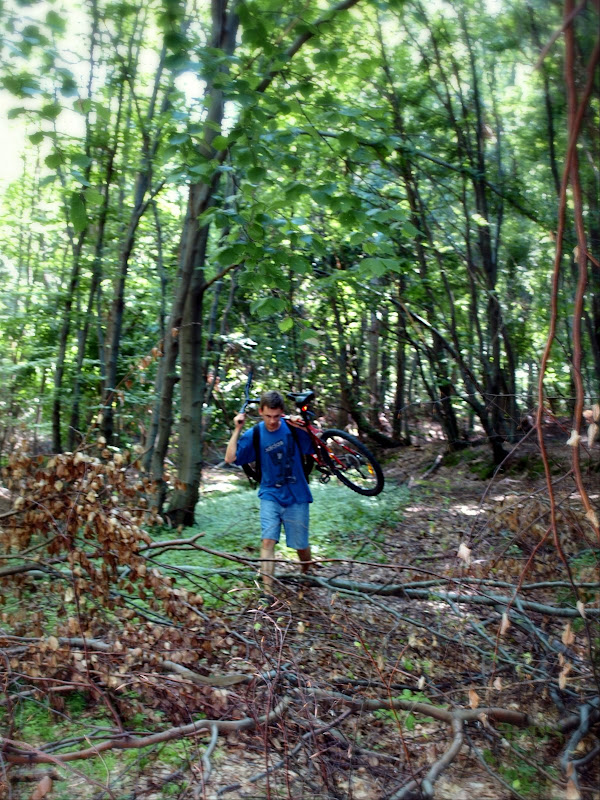 P7116969.JPG
