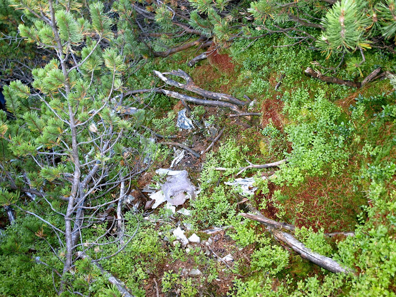 P8087184.JPG