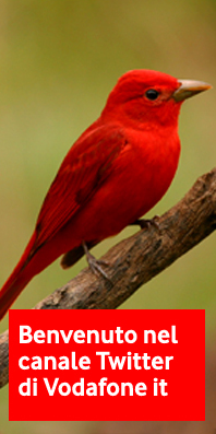 [image[4].png]
