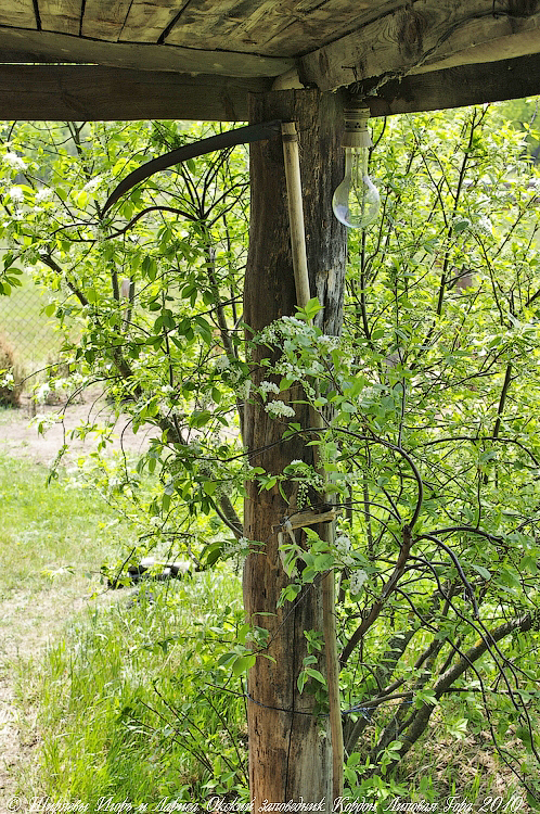 Кордон «Липовая Гора» 