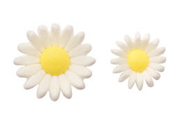 [icing-daisies.jpg]