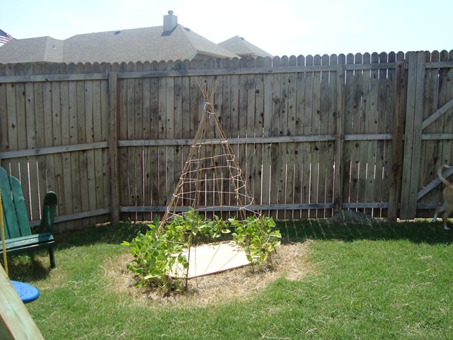 [DSC040092.jpg]