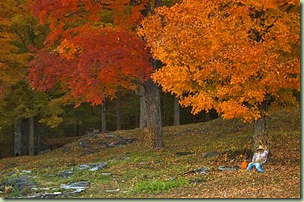 Vermont%20Autumn%20Cliche