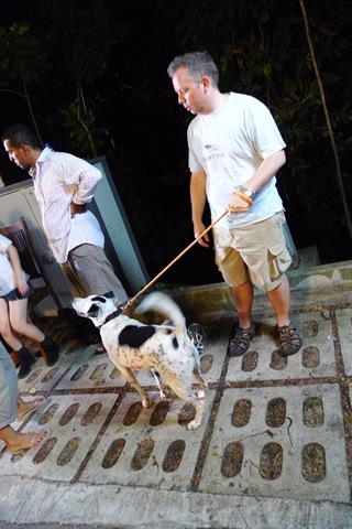 [P1070859[1].jpg]