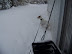 Shopper Stopper - Blizzard of '09