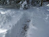 Snowpocalypse 2010