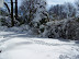 Snowpocalypse 2010