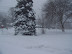 Snowpocalypse 2010