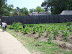 Jamestown Settlement in May