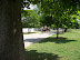 Colonial Williamburg in May