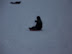 Playing in the Snow