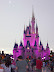 Magic Kingdom