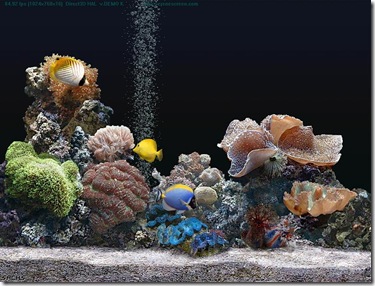 SereneScreen Aquarium