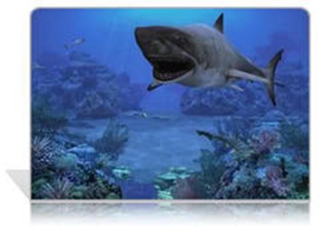  Sharks Terrors of the Deep Screensaver