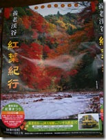 koyo matsuri poster small