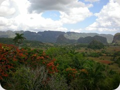 Provincia de Pinar del Río Provincia de Pinar del Río