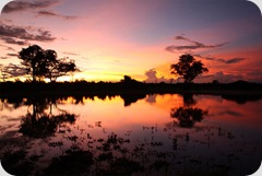 botswana- botswana-