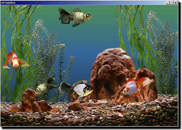 [goldfish_aquarium-654-scr[2].jpg]