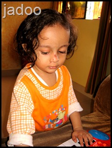 IMG_8575 IMG_8575