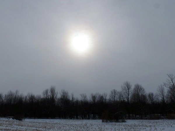 winter sun