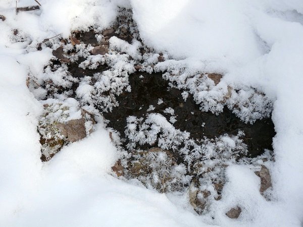 frost hole