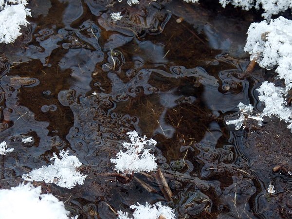 frost puddle